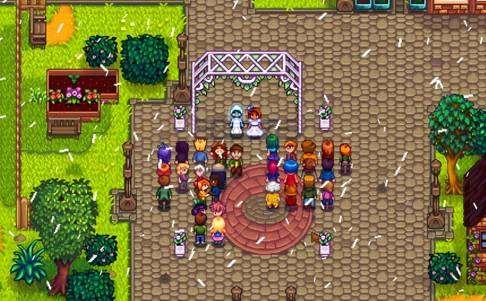 星露谷物语怎么结婚要几级房子3