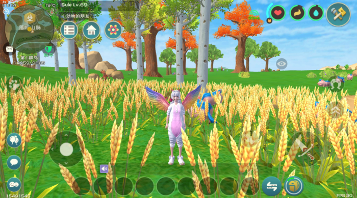 创造与魔法小麦哪里多1