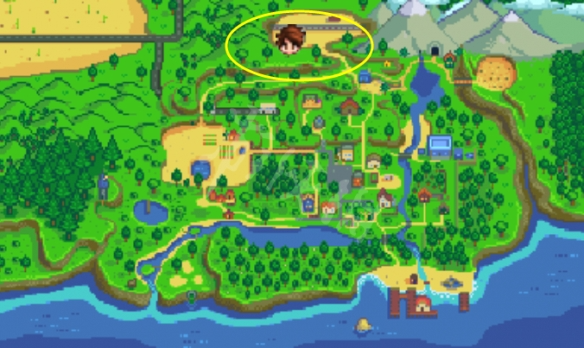 星露谷物语温泉怎么泡1