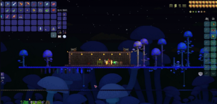 泰拉瑞亚发光蘑菇群落建在哪3