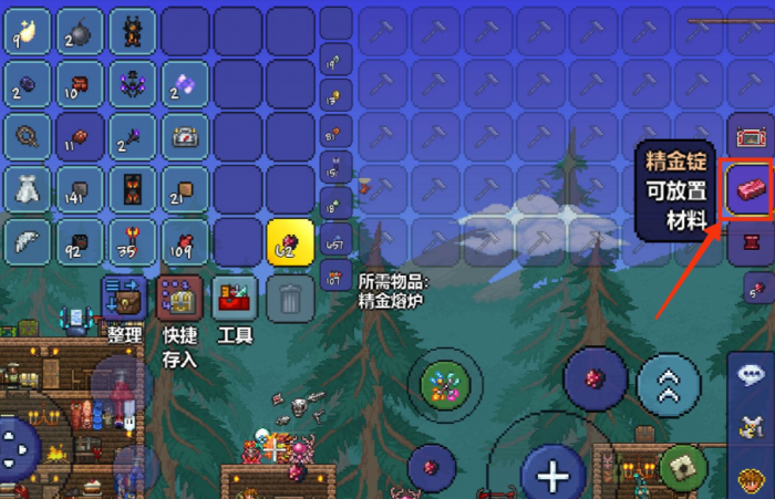 泰拉瑞亚禁装是什么2