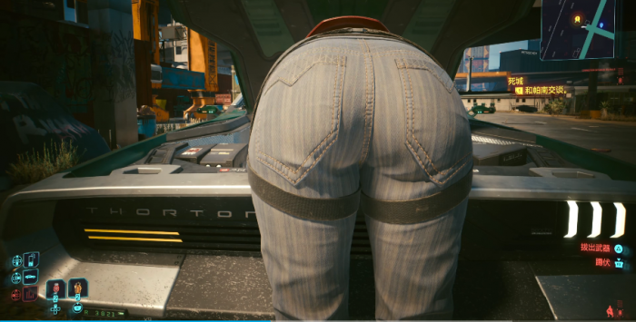 赛博朋克2077帕南怎么选2