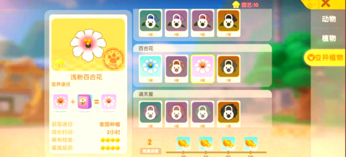 摩尔庄园怎么买装饰花1