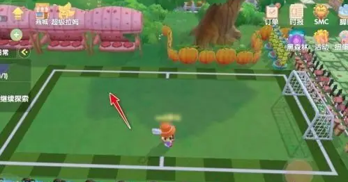 摩尔庄园小球场怎么玩3