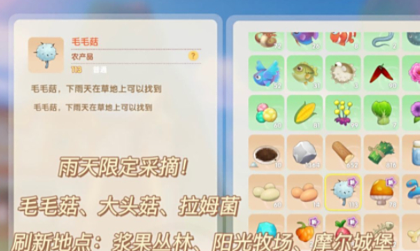 摩尔庄园毛毛菇怎么用1