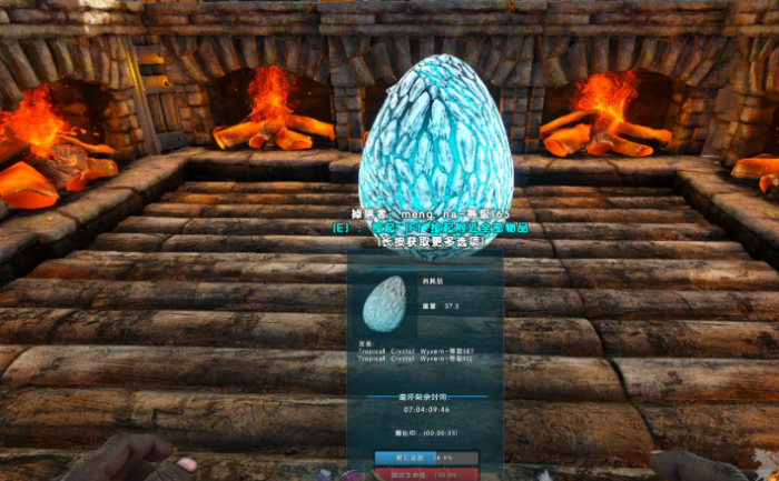 方舟生存进化捡的龙蛋怎么孵化1