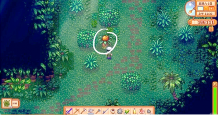 星露谷物语姜岛宝石怎么摆3