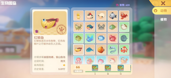 摩尔庄园脂肪鱼怎么钓3