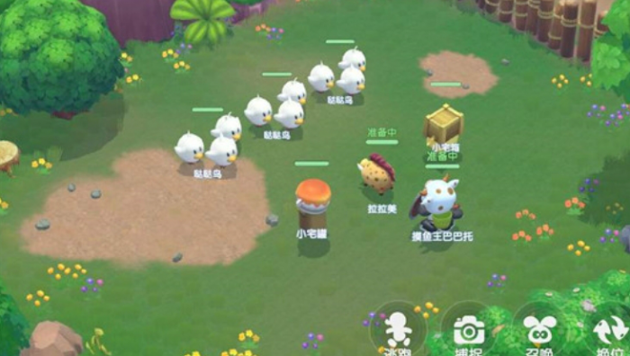 摩尔庄园宠物捕捉怎么玩2