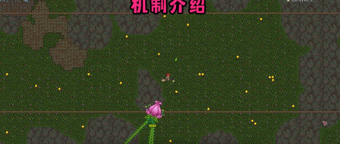 泰拉瑞亚食人花boss在哪里打2