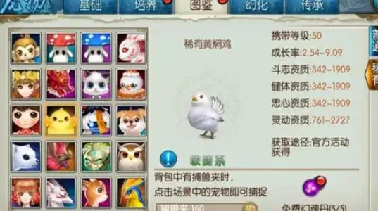 诛仙手游宠物搭配技能什么3