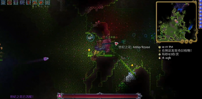 泰拉瑞亚世纪之花怎么打1