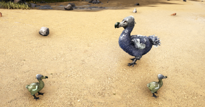 方舟生存进化新手抓什么龙1