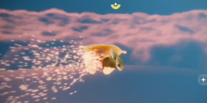 光遇爱情海怎么走1