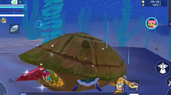 创造与魔法龟壳哪里有1