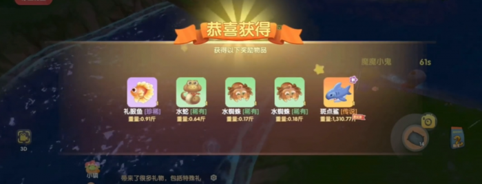 摩尔庄园的斑点鲨怎么抓3