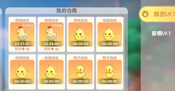 摩尔庄园外面的鸡怎么带回家2