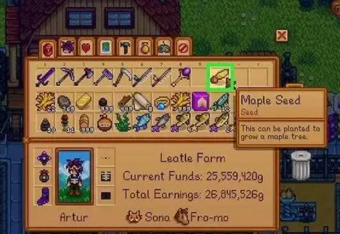 星露谷物语枫树怎么种1