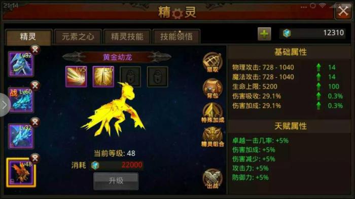 全民奇迹魔剑士玩法怎么玩3