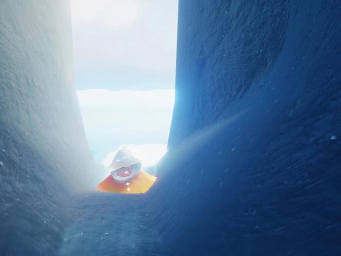 疑问光遇霞谷樱花树能否长成参天大树3