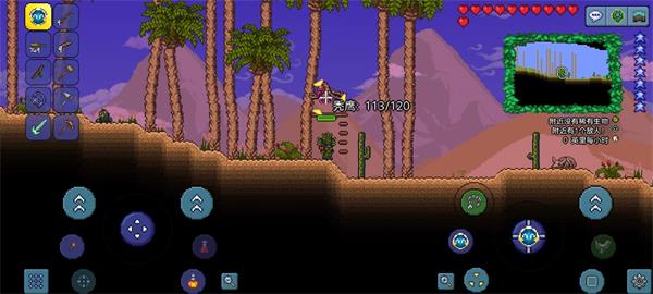 有没有办法在泰拉瑞亚前期取得飞行坐骑1