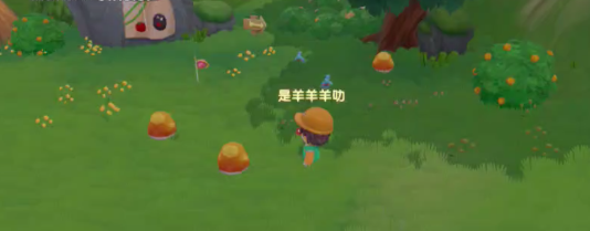 摩尔庄园雨天和晴天怎么分辨3