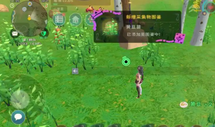 创造与魔法黄豆宠物粮怎么做2