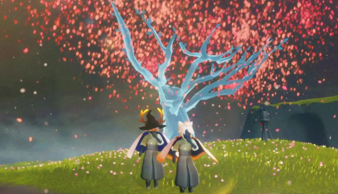 光遇怎么在樱花树下放彩虹1