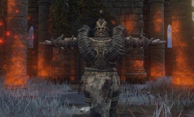 艾尔登法环最强防具套装推荐什么1