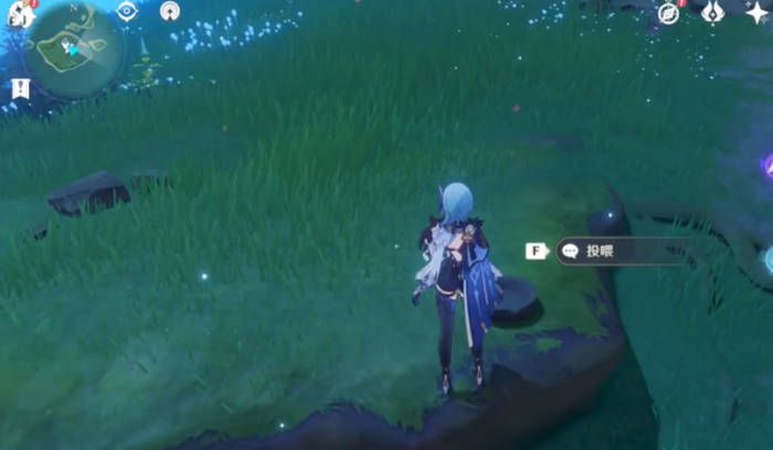 原神稻妻如何喂食猫1