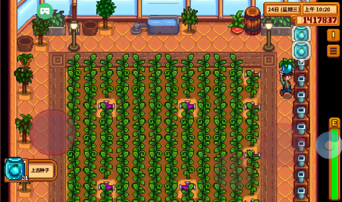 星露谷物语第三年春天种什么2