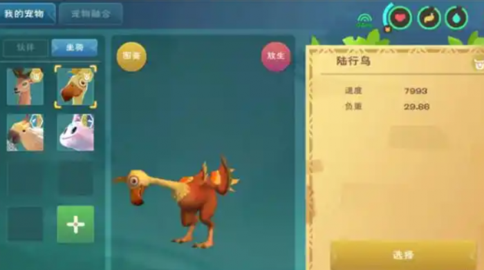 创造与魔法陆行鸟吃多少饲料1