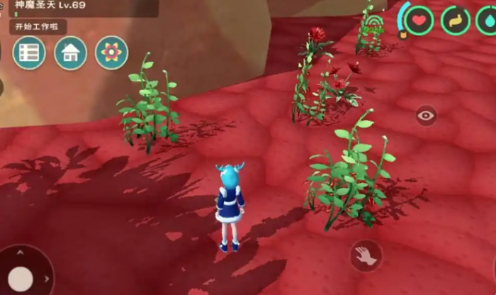 创造与魔法辣椒圈在哪里刷1