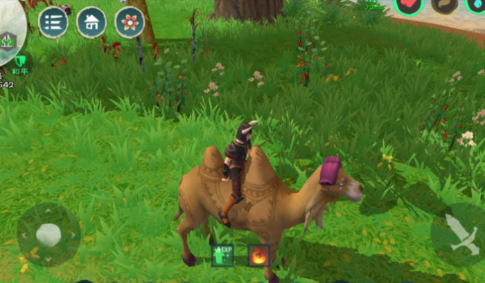 创造与魔法辣椒圈在哪里刷3