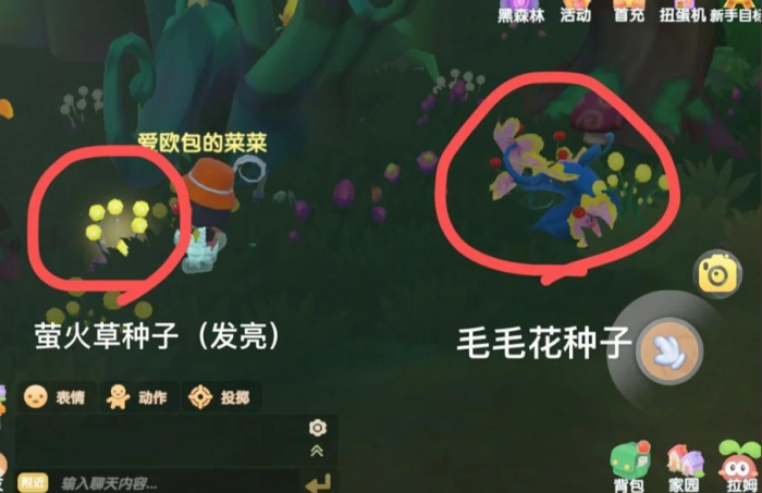 摩尔庄园魔法森林怎么进去3