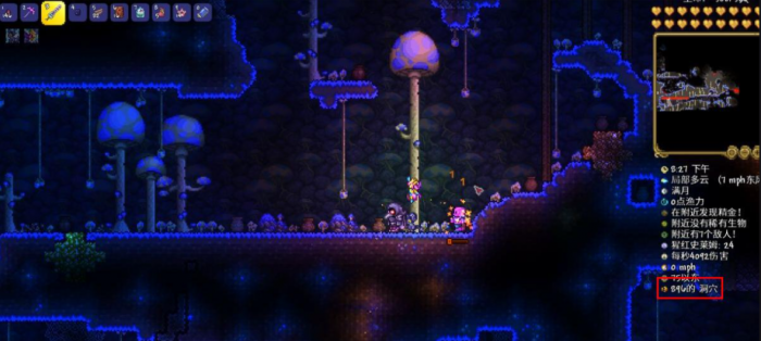 泰拉瑞亚如何抓捕松露虫1