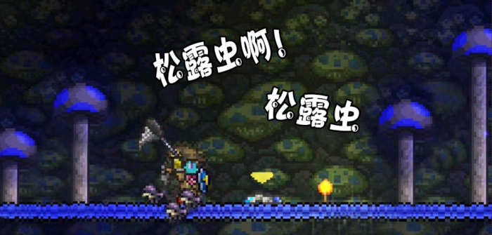 泰拉瑞亚如何抓捕松露虫2
