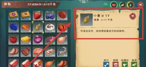 创造与魔法吃什么可以加速1