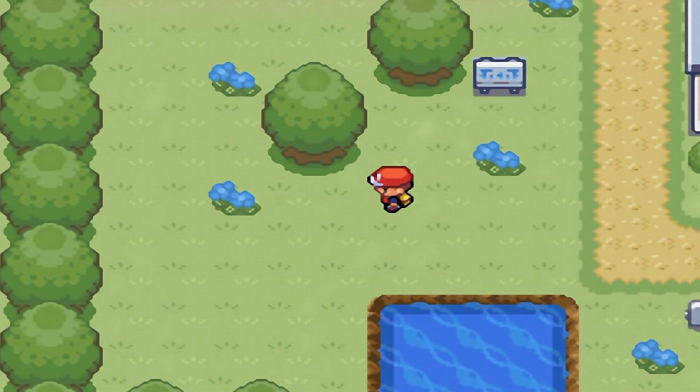 口袋妖怪火红喷火龙带什么道具2