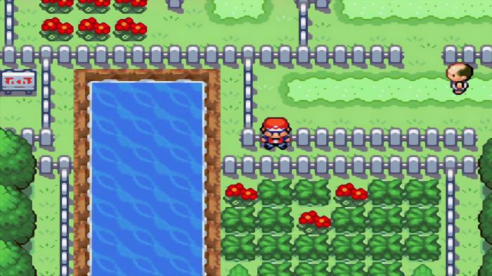 口袋妖怪火红哪些宠物比较厉害1