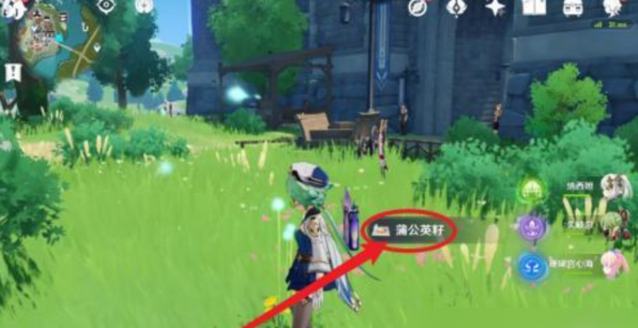 原神蒲公英种子怎么种1