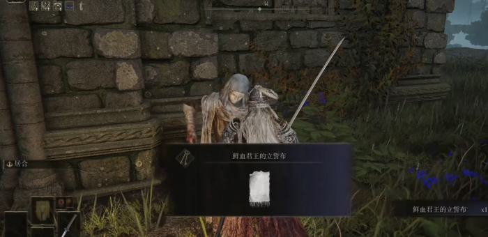 艾尔登法环血王朝怎么去2