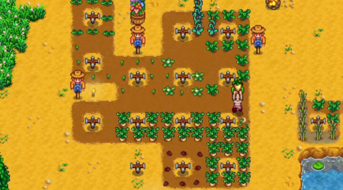 星露谷物语应该种什么1