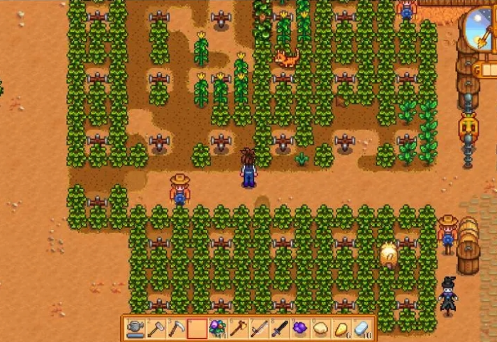 星露谷物语杨桃怎么卖1