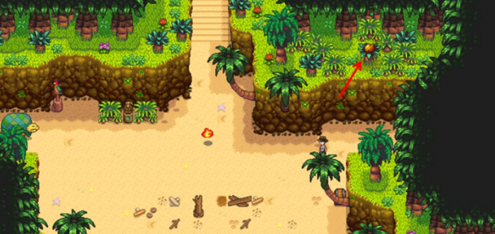 星露谷物语姜岛照片任务怎么完成2