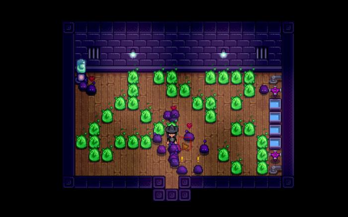 星露谷物语五彩碎片哪里容易掉3