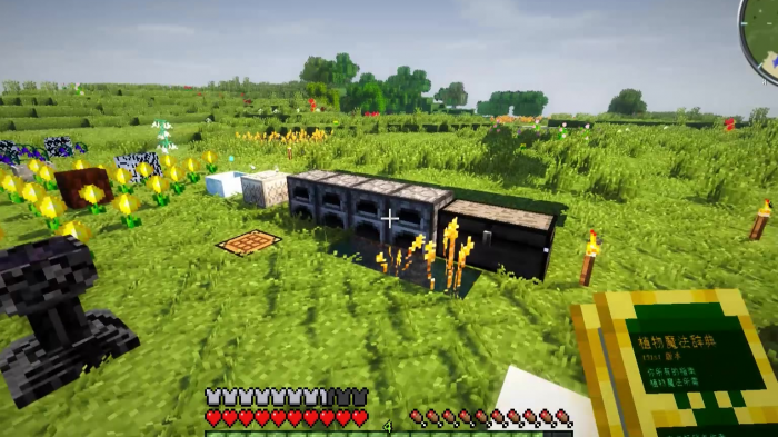 我的世界如何让村民有自我意识3