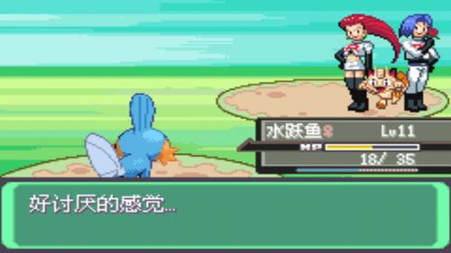 口袋妖怪火红冰洞怎么走1