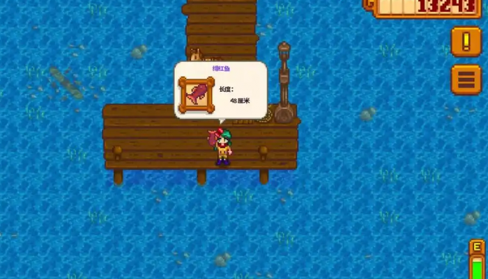 星露谷物语夏天雨天有什么特殊鱼2