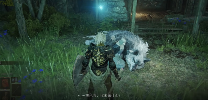 艾尔登法环白金村任务怎么做3